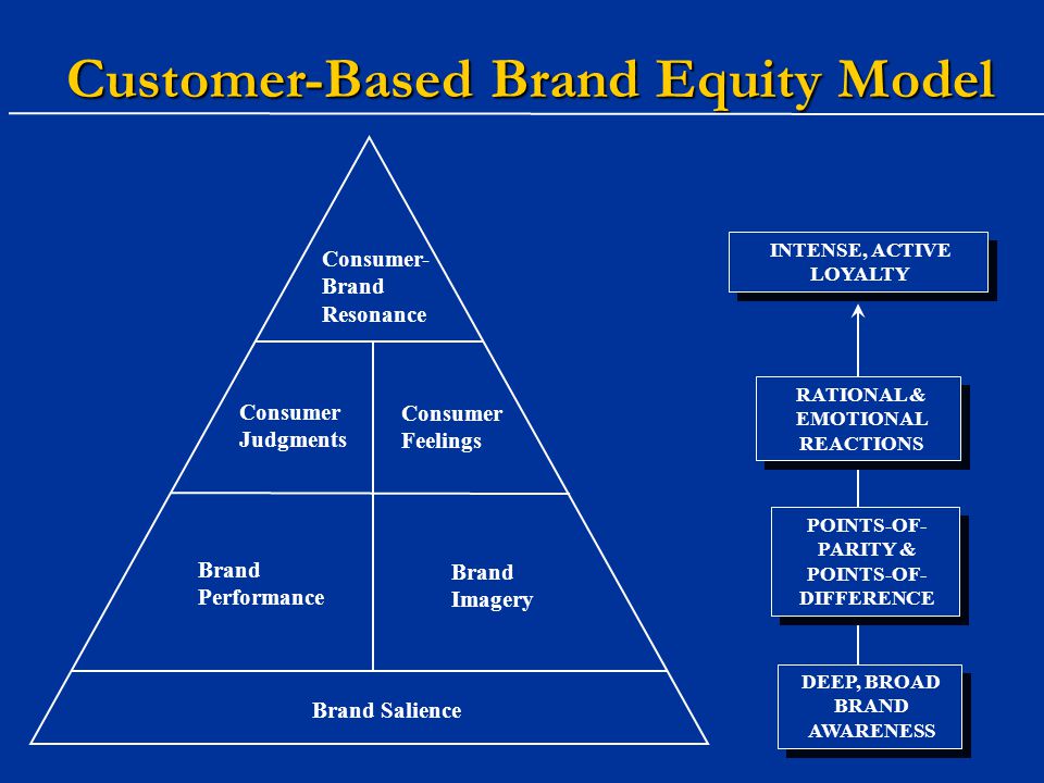 Customer based brand equity model